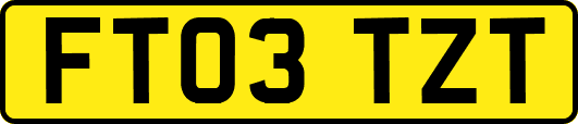 FT03TZT