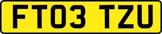FT03TZU