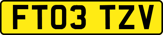 FT03TZV
