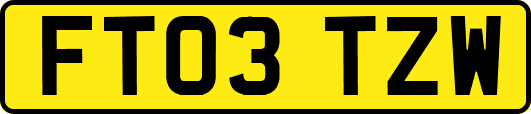 FT03TZW