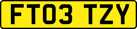 FT03TZY