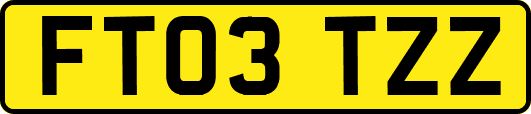 FT03TZZ