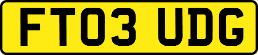 FT03UDG