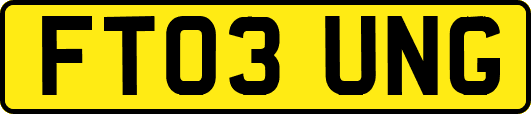 FT03UNG