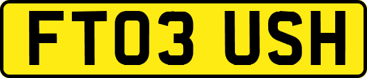 FT03USH