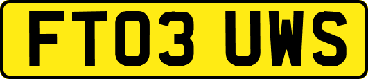 FT03UWS