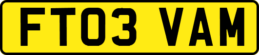 FT03VAM
