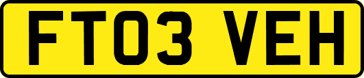FT03VEH