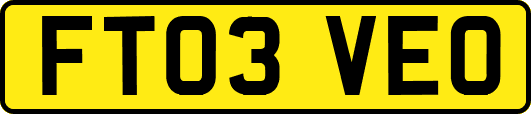FT03VEO