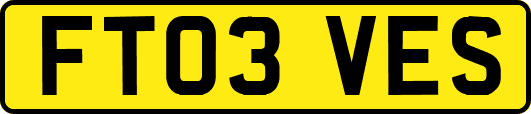 FT03VES