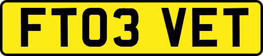 FT03VET