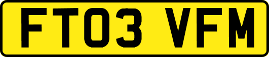 FT03VFM
