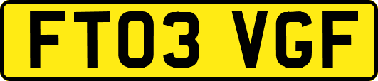 FT03VGF