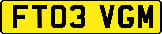 FT03VGM