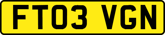 FT03VGN