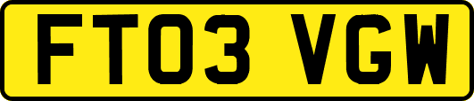 FT03VGW