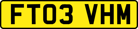 FT03VHM