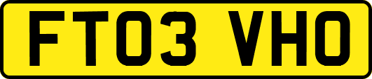 FT03VHO