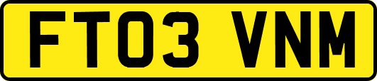 FT03VNM