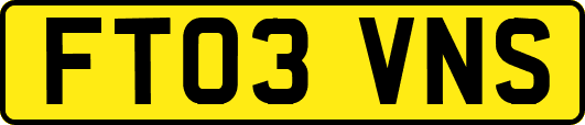 FT03VNS