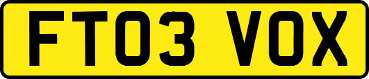 FT03VOX