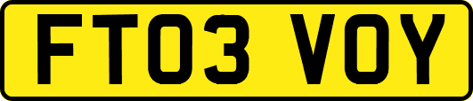 FT03VOY