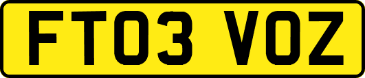FT03VOZ
