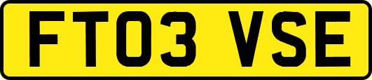 FT03VSE