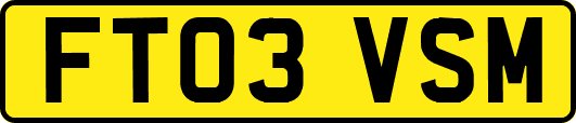 FT03VSM