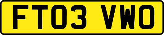 FT03VWO