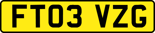 FT03VZG