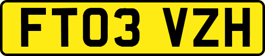 FT03VZH