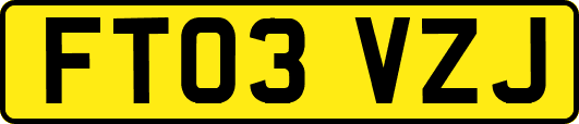 FT03VZJ
