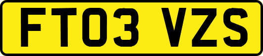 FT03VZS
