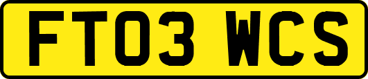 FT03WCS
