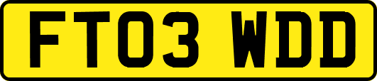 FT03WDD