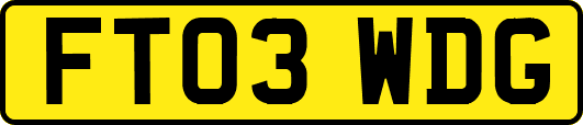 FT03WDG