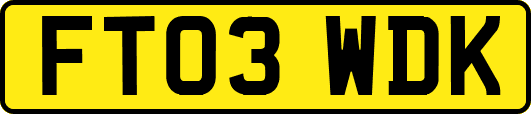 FT03WDK