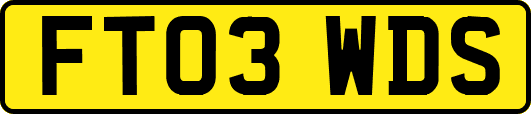 FT03WDS