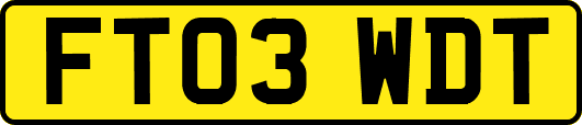 FT03WDT