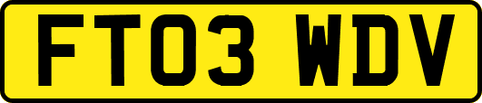 FT03WDV