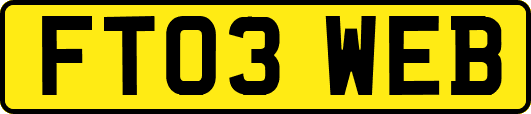 FT03WEB