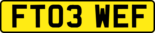 FT03WEF