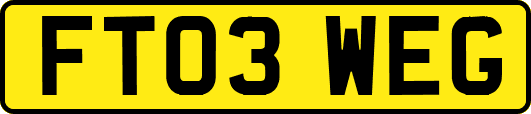 FT03WEG