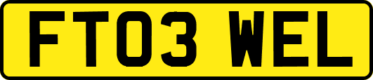 FT03WEL