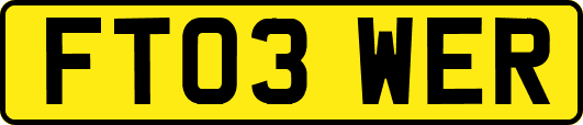 FT03WER