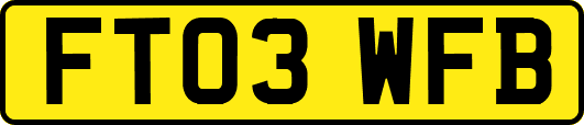 FT03WFB