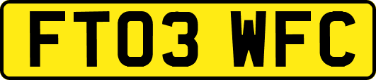 FT03WFC
