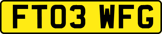 FT03WFG