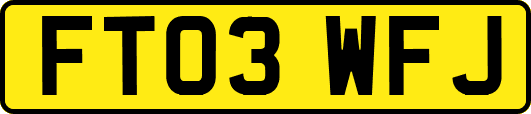 FT03WFJ